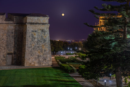 cenic night view of Mdina fortifications with full moon and garden, Malta.の写真素材