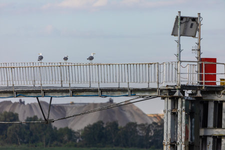 Three seagulls resting on a metal bridge structure above Szczecin Lagoon in Poland, with industrial landscape in the background.の写真素材