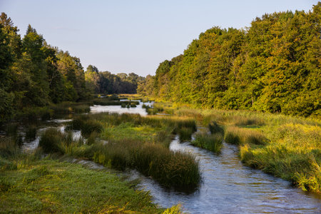 A calm river winds through lush green vegetation and trees near Joesuu village in Soomaa National Park, Estonia. Navesti River.の写真素材