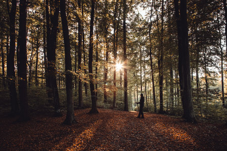 Poland, Gdansk - 10 October 2021: A person walking with trekking poles along a sunlit forest path in the Oliwa Forests in Gdansk, Poland.のeditorial素材