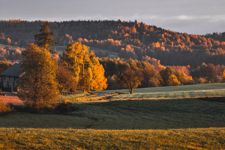 Golden sunrise over misty rolling hills in Suwalski Park Krajobrazowy, Podlasie, Poland, with warm autumn light illuminating the landscape.の写真素材