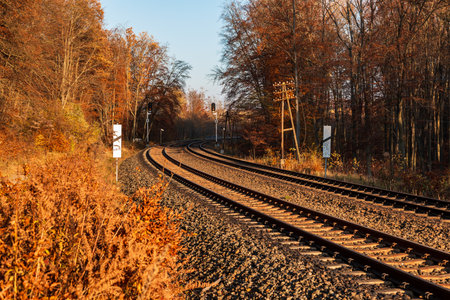 GdaÅsk, Lasy Oliwskie - November 1, 2021. Sunlit railway tracks curving through an autumn forest with warm seasonal colors.のeditorial素材