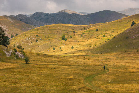 Lukomir, Bosnia and Hercegovina - August 23, 2022: People and dog walking on winding path through golden valley with mountains.のeditorial素材