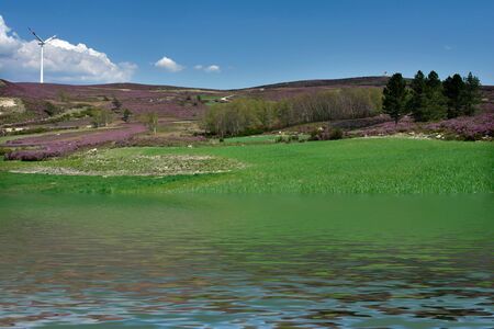 spring landscape and water reflectionの写真素材