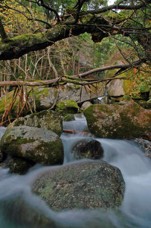 beautiful waterfall between rocks covered by moss and leaves in outumnの写真素材