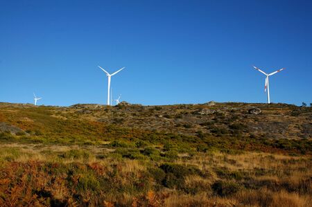 four eolic generators in a wind farmの写真素材