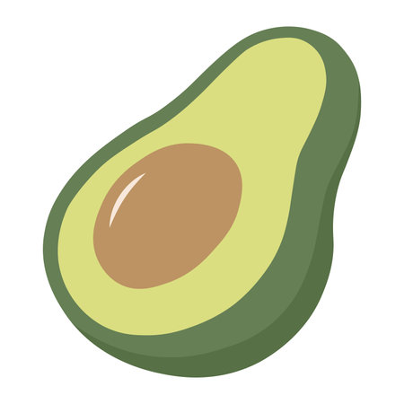 Avocado Fruit in Flat Illustration Isolated on White Backgroundのイラスト素材