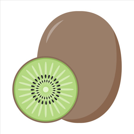 Kiwi Fruit in Flat Illustration Isolated on White Backgroundのイラスト素材