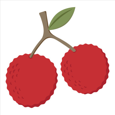 Lychee Fruit in Flat Illustration Isolated on White Backgroundのイラスト素材