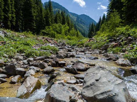 Beautiful Alpine wild River in South Tirol. Located above Brixen in the Italian Alps. Rocks and Water with Trees lining the sidesの写真素材