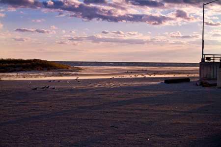 Far Rockaway in New York, Birds on the Beach, with fine Sand Blowing on the Beach Romatic evening...