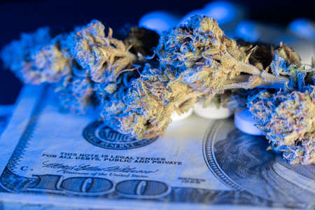 Weed Bud on top of 100 Dollar Banknote. Buy Drugs with cash. USA Money. Currency of United States. Cannabis Drugs or Medicineの写真素材