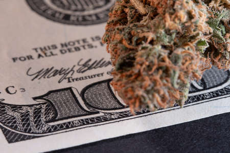 Marijuana and Cash, purchase of Drugs and Medicine. Dollar Bills and Weed