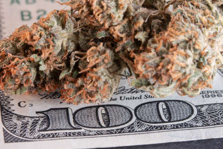 Weed Buds on top of Dollar Bills. Drugs on 100 Dollar Banknotes, purchasing Illegals substances