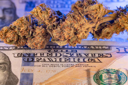 Cannabis Hemp on top of one hundred Dollar Banknote. Cash and Drugs, purchasing Weedの写真素材