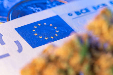 Twenty Euro Banknote and Hemp buds. Cannabis flower and Money 20 EUR. Cost of drugs and medicine conceptの写真素材