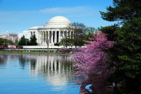 Jefferson national memorial with cherry blossom in Washington DC.のeditorial素材