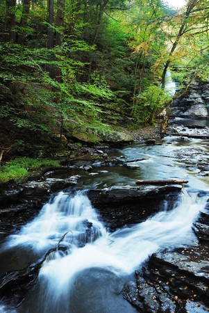 Autumn River in woods with foliage and rocks.の写真素材