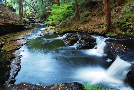 Creek with woods in autumn with rocks and foliage.
の写真素材