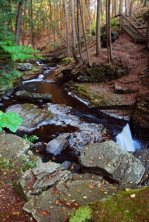 Creek over rocks trees with hiking trail in woodsの写真素材