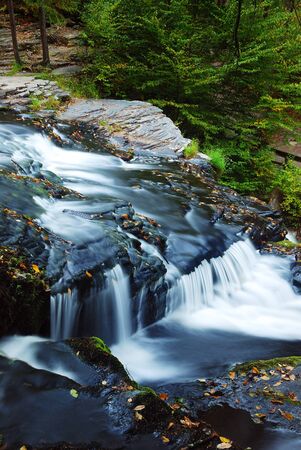 Creek in woods with rocks and foliageの写真素材