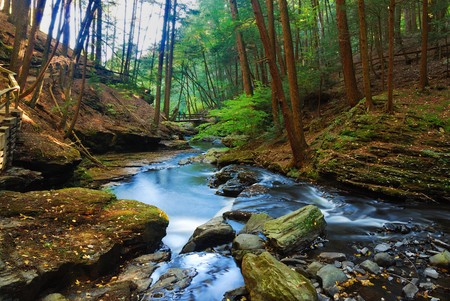 Autumn River in forest with foliage and rocks.の写真素材