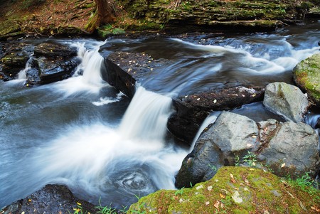 Creek with rocks and foliage.の写真素材