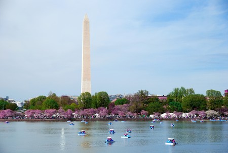 Washington monument with Cherry Blossom over lake with boat, Washington DC.の写真素材