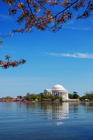 Jefferson national memorial with cherry blossom in Washington DC.のeditorial素材