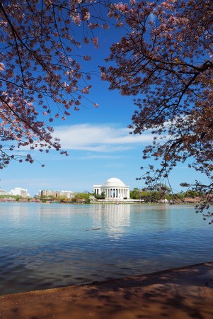 Jefferson national memorial lake view with cherry blossom in Washington DC.のeditorial素材