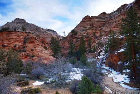 Zion National Park in the morning with red rocks, road and snow in winter, Utah.の写真素材