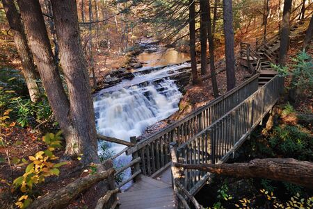 Autumn creek with hiking trail and rocks in woods with colorful foliage.の写真素材