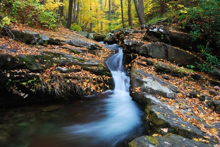 Autumn creek closeup with yellow maple trees and foliage on rocks in forest with tree branches. の写真素材