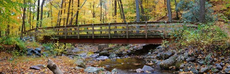 Autumn forest with wood bridge panorama over creek in yellow maple forest with trees and colorful foliage.の写真素材
