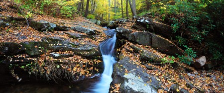 Autumn creek closeup panorama with yellow maple trees and foliage on rocks in forest with tree branches.の写真素材