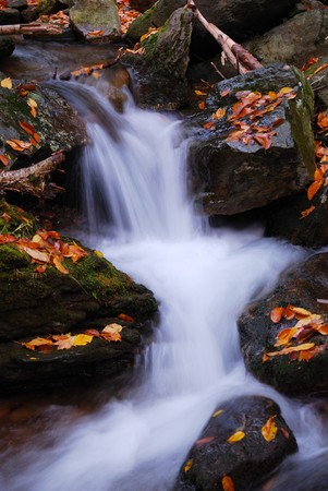 Autumn creek closeup with yellow maple trees and foliage on rocks in forest with tree branches. の写真素材