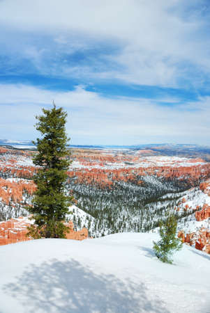 Bryce canyon panorama with snow in Winter with red rocks and blue sky. の写真素材