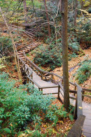 Autumn hiking trail with foliage in woods. From Bushkill Falls, Pennsylvania.の写真素材