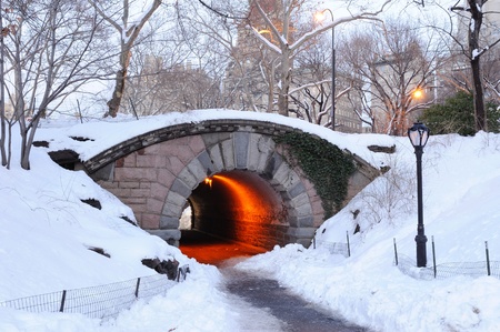 New York City Manhattan Central Park in winter with bridge.