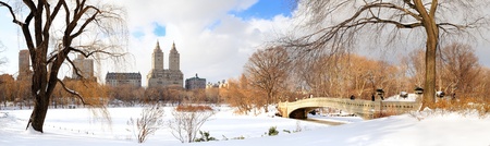 New York City Manhattan Central Park panorama in winter with ice and snow over lake with bridge,  skyscrapers and blue cloudy sky at dusk.の写真素材
