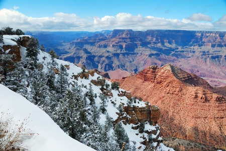 Grand Canyon panorama view in winter with snow and clear blue sky.の写真素材