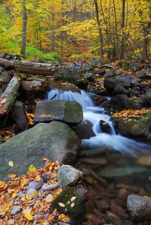 Autumn creek closeup with yellow maple trees and foliage on rocks in forest with tree branches. の写真素材