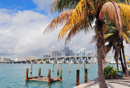 Miami city tropical view over sea from dock in the day with blue sky and cloud.の写真素材