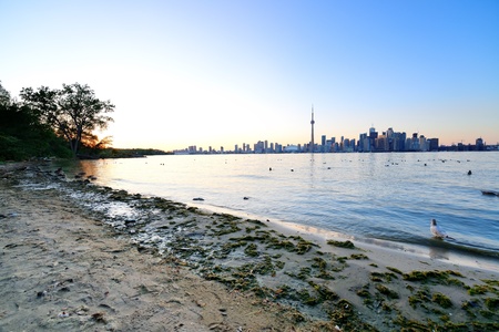 Toronto skyline in the day over lake with urban architecture.の写真素材