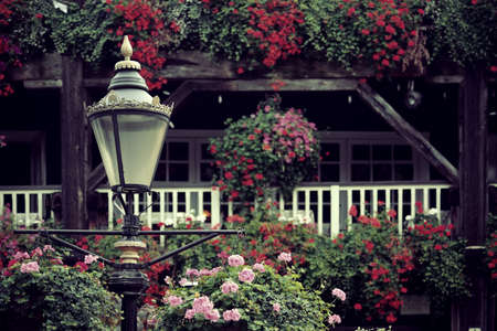 Beautiful flower in London streetの写真素材