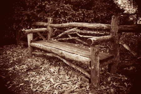 Central Park Autumn bench in midtown Manhattan New York Cityの写真素材