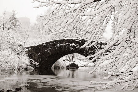 Central Park winter with stone bridge in midtown Manhattan New York Cityの写真素材
