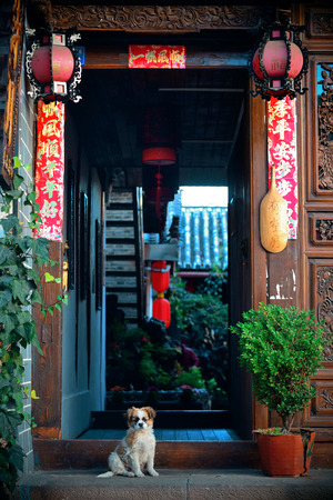 Naxi style hostel with dog in old street in Lijiang, Yunnan, China.のeditorial素材