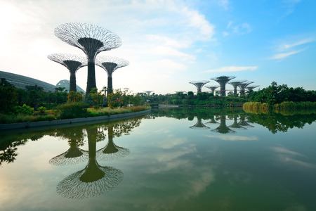 SINGAPORE - APR 5: Garden by the Bay super tree on April 5, 2013 in Singapore. It is part of a government strategy aimed to raise the quality of life by enhancing greenery and flora in Singapore.のeditorial素材