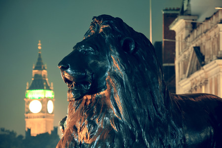 Trafalgar Square lion statue and Big Ben in Londonの写真素材